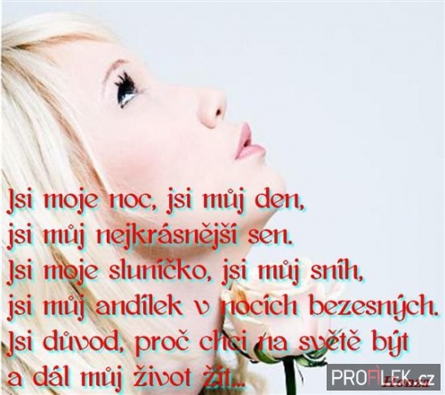 citát 2